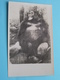 FAUNA & FLORA > Gorille / Gorilla ( Anno 1950 / 60 ) See / Voir / Zie > Photo ! - Afrique