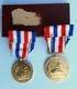 2 Médailles D'honneur En Bronze Doré (PALME) - CHEMINS DE FER Par GEORGES GIRAUD 1976 & 1981 -loco TGV,VAPEUR,ELECTRIQUE - Other & Unclassified