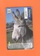 CHIPCARD SPAIN SERIE FAUNA IBÉRICA "ASNO DOMÉSTICO" P466 - EX: 8000 - USED - Emissions Privées