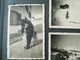 Delcampe - MELI  - MÉLO DE 120 PHOTOS ORIGINALES NOIR - BLANC   DE PLUSIEURS FAMILLES - Albums & Collections