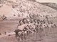 Delcampe - MACEDONIA, 18 PHOTOS, MEN AND WOMEN IN SWIMSUITS ON THE BEACH THE RIVER VARDAR, SKOPJE 1943 - Personnes Anonymes