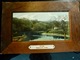 CARTE POSTALE _ CPA VINTAGE : ISLAND Of JERSEY _ Waterworks Valley       // CPA.L.GBUSA.95.22 - Andere & Zonder Classificatie