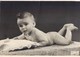 STUDIO ROQUELAIN SALON DE PROVENCE BEBE TOUT NU " PHOTOGRAPHIE AMATEUR ENFANT CHILD BOY MEN MAN - Autres & Non Classés