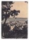 Carte Postale Cannes Marianne De Dulac Alpes Maritimes Chaînes Brisées 1946 - 1944-45 Marianne (Dulac)