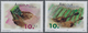 Angola: 2001, AFRICA DAY (Xylophone), Complete Set Of Two In An Investment Lot Of 500 Sets And 500 S - Angola