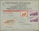 Argentinien: 1894/1954 (ca.), Apprx. 290 Covers And 17 Mint/used Stationery Mostly From Corresponden - Andere & Zonder Classificatie