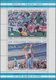 Delcampe - Argentinien: 1985/1993 (ca.), Accumulation Of Mostly Thematic Stamps And Miniature Sheets Incl. Flow - Autres & Non Classés