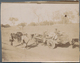 Delcampe - China: 1905/14 (ca.), 21 Privately Take Photographs Of Nanking And Surroundings Inc. Ming Burials Or - Other & Unclassified