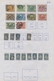 China: 1912/47, Collection On Self-made Album Pages, From The Coiling Dragon Overprints, Early Comme - Other & Unclassified