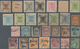 China - Shanghai: 1866/93, Mint And Used Collection, Starting From Small Dragons, On Large Stockcard - Other & Unclassified