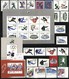 Delcampe - China - Volksrepublik: 1952/2008, Mint Collection Of Thematic Issues "SPORT" On Stockcards Incl. 196 - Otros & Sin Clasificación