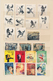China - Volksrepublik: 1971/1986 (ca.), Accumulation Of Complete Sets MNH In Two Chinese Stockbooks, - Andere & Zonder Classificatie
