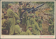 Delcampe - China - Volksrepublik - Ganzsachen: 1953, War Envelope No. 4 Resp. War Ppc 1/10, Unused, Some W. Sli - Postcards