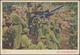 Delcampe - China - Volksrepublik - Ganzsachen: 1953, War Envelope No. 4 Resp. War Ppc 1/10, Unused, Some W. Sli - Postales