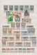 Französisch-Indien: 1914/1952, A Splendid Mint Collection On Stockpages With Plenty Of Interesting M - Gebruikt