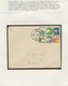 Israel: From 1948 On. INTERIM PERIOD. Big Lot Containing About 98 Semi-official Stamp Issues, Inclus - Brieven En Documenten