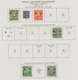 Delcampe - Japanische Besetzung WK II - China: China, 1941/45, Mint And Used Of All Districts On Minkus Pages A - 1941-45 China Dela Norte