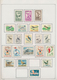 Korea-Nord: 1950/1990 (ca.), Used Collection In A Binder, Incl. Attractive Thematic Sets And Souveni - Corea Del Norte