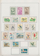 Korea-Nord: 1950/1990 (ca.), Used Collection In A Binder, Incl. Attractive Thematic Sets And Souveni - Korea (Nord-)