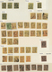 Mexiko: 1861, Specialised Collection Of Apprx. 480 Stamps On Album Pages Incl. Wealth Of Districts A - Mexico