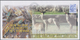 Delcampe - Neukaledonien: 1997/2003 (ca.), Accumulation With About 850 PRE-STAMPED ENVELOPES With Many Differen - Unused Stamps