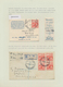 Delcampe - Neuseeland: 1929/1983, HEALTH STAMPS, Award-winning Deeply Specialised Exhibit Collection In Eight V - Brieven En Documenten