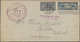 Vereinigte Staaten Von Amerika: 1925/62 Accumulation Of Ca. 130 Covers And Postal Stationeries With - Other & Unclassified