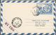 Delcampe - Vietnam-Süd (1951-1975): 1955/1973, Ex-1 All Military Airletters (Quan Buu) In Blue Mint (15) Or Use - Viêt-Nam