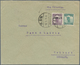 Delcampe - Asien: 1872/1972 (ca.), Exc. 70 Covers, Postcards And Postal Staionery Items, Mostly From Asian Coun - Asia (Other)