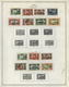 Naher Osten: 1918/1968, Near/Middle East, Used And Mint Collection Of Iraq, Jodan, Lebanon, Hejaz/Sa - Otros & Sin Clasificación