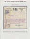 Brieftaubenpost: 1899/1904, NEW ZEALAND "THE GREAT BARRIER ISLAND PIGEON MAIL", Extraordinary And De - Columbiformes