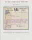 Brieftaubenpost: 1899/1904, NEW ZEALAND "THE GREAT BARRIER ISLAND PIGEON MAIL", Extraordinary And De - Tauben & Flughühner