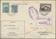 Delcampe - Zeppelinpost Europa: Collection Of Over 110 Zeppelin Items, Mostly Flown Covers With A Large Number - Otros - Europa