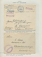 Delcampe - Zeppelinpost Europa: 1914/1918, WWI AIR SHIPS, Collection Of Apprx. 39 Covers/cards On Written Up Al - Europe (Other)