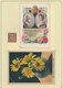 Thematik: Flora, Botanik / Flora, Botany, Bloom: 1910/2000 (ca.), Flowers, Comprehensive Collection/ - Other & Unclassified