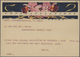 Delcampe - Thematik: Flora-Orchideen / Flora-orchids: 1905/2011 (ca.), Enormously Extensive Collection Of This - Orchidées