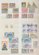 Thematik: Schiffe / Ships: 1920/1990 (ca.), Comprehensive Collection/accumulation In Three Thick Sto - Ships