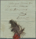 Delcampe - Thematik: Tiere, Fauna / Animals, Fauna: 1844/2000 (ca.), Magnificent, All-embracing, Award Winning - Other & Unclassified