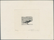 Delcampe - Thematik: Tiere, Fauna / Animals, Fauna: 1844/2000 (ca.), Magnificent, All-embracing, Award Winning - Sonstige & Ohne Zuordnung