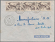 Thematik: Tiere, Fauna / Animals, Fauna: 1900/2000 (ca.), Collection Of Apprx. 560 Covers/cards Show - Other & Unclassified