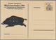 Delcampe - Thematik: Tiere, Fauna / Animals, Fauna: 1900/2000 (ca.), Collection Of Apprx. 560 Covers/cards Show - Autres & Non Classés