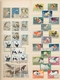 Thematik: Tiere, Fauna / Animals, Fauna: 1900/1990 (ca.), Sophisticated Collection/accumulation Of T - Altri & Non Classificati