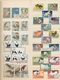 Thematik: Tiere, Fauna / Animals, Fauna: 1900/1990 (ca.), Sophisticated Collection/accumulation Of T - Andere & Zonder Classificatie