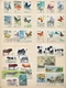 Thematik: Tiere, Fauna / Animals, Fauna: 1900/1990 (ca.), Sophisticated Collection/accumulation Of T - Autres & Non Classés