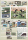 Thematik: Tiere, Fauna / Animals, Fauna: 1920/2000 (ca.), Comprehensive An Wide-spread Mainly MNH Co - Other & Unclassified