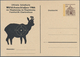 Thematik: Tiere, Fauna / Animals, Fauna: 1940/2000 (ca.), CHAMOIS/IBEX, Collection Of Apprx. 175 Cov - Other & Unclassified