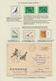 Delcampe - Thematik: Tiere-Vögel / Animals-birds: 1864/2000 (ca.), BIRD WATCHING, Thematic Collection On 65 Wri - Andere & Zonder Classificatie