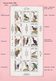 Delcampe - Thematik: Tiere-Vögel / Animals-birds: 1959/2009, Mainly 1990s, MNH Collection Of Apprx. 296 Souveni - Other & Unclassified