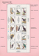 Delcampe - Thematik: Tiere-Vögel / Animals-birds: 1959/2009, Mainly 1990s, MNH Collection Of Apprx. 296 Souveni - Andere & Zonder Classificatie