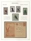 Thematik: Tiere-Vögel / Animals-birds: Comprehensive Collection BIRDS, Sorted By Habitates And Well - Other & Unclassified